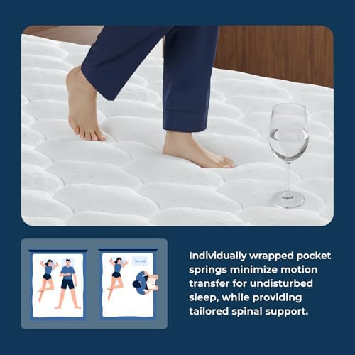 Queen-Size-Matratze 12 Zoll, C – Memory Foam Mattress In A Box Queen Bewertung und Preis